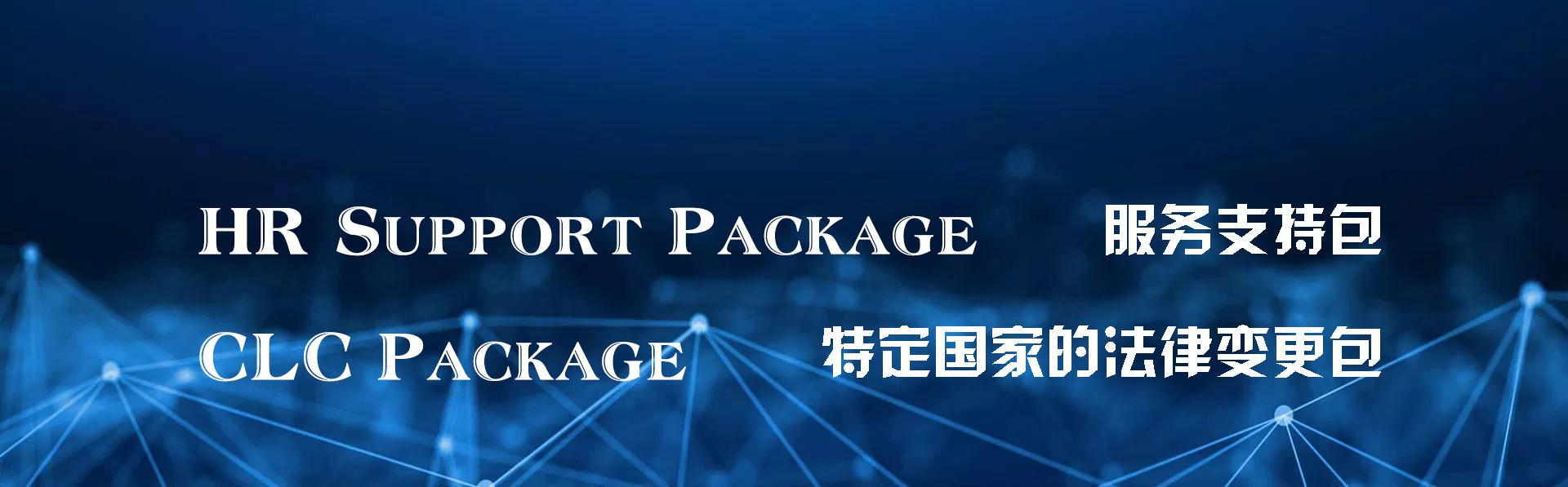 -SAP金牌代理商廣州工博