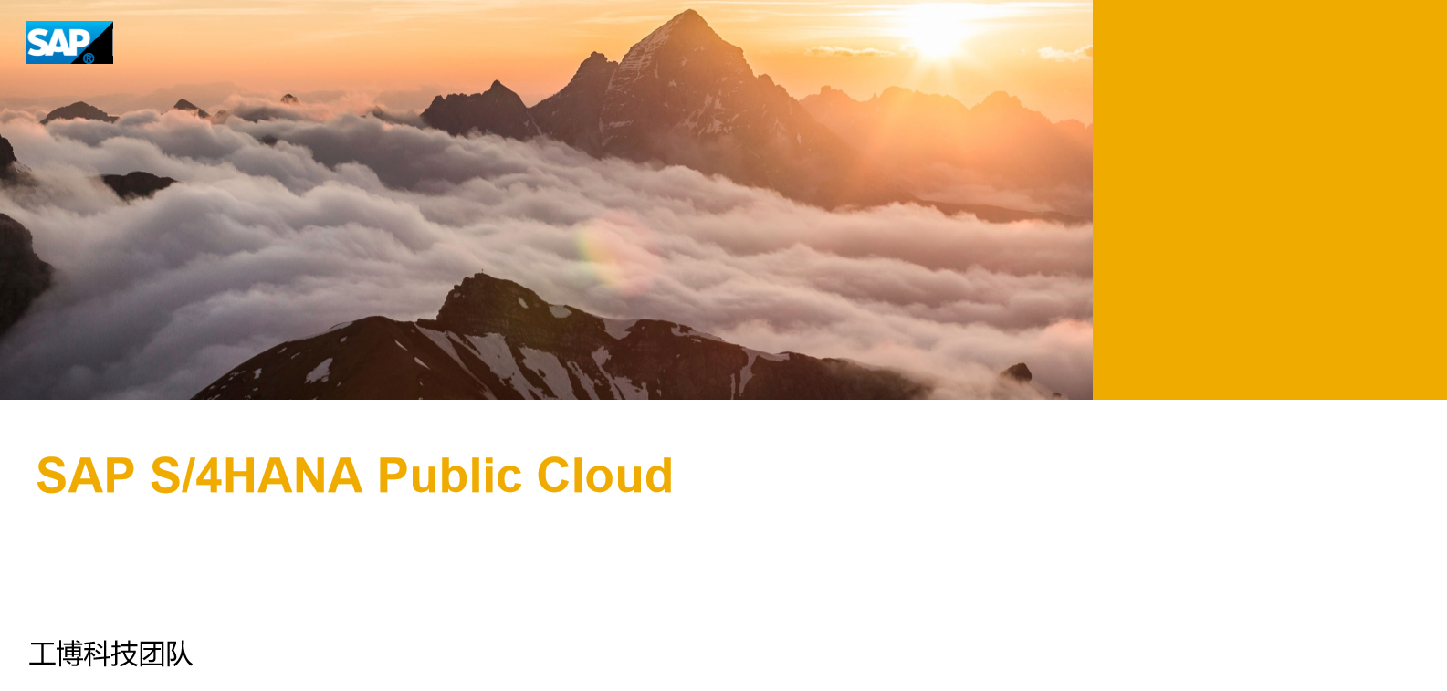 SAP S/4HANA Cloud Public Edition（SAP ERP 公有云） 是一款即裝即用的云ERP軟件，詳詢(xún)SAP系統(tǒng)供應(yīng)商工博科技。