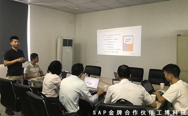 SAP B1企業(yè)管理軟件，SAP ERP項(xiàng)目,中小企業(yè)的信息化方案,SAP Business One系,SAP ERP管理軟件
