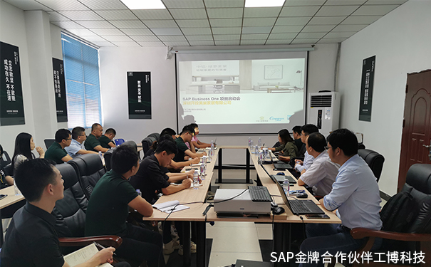 美巢家居ERP,綠蘿美巢ERP,中國鋁業(yè)集團ERP,SAP Business One系統(tǒng)，中鋁·綠蘿美巢SAP ERP項目