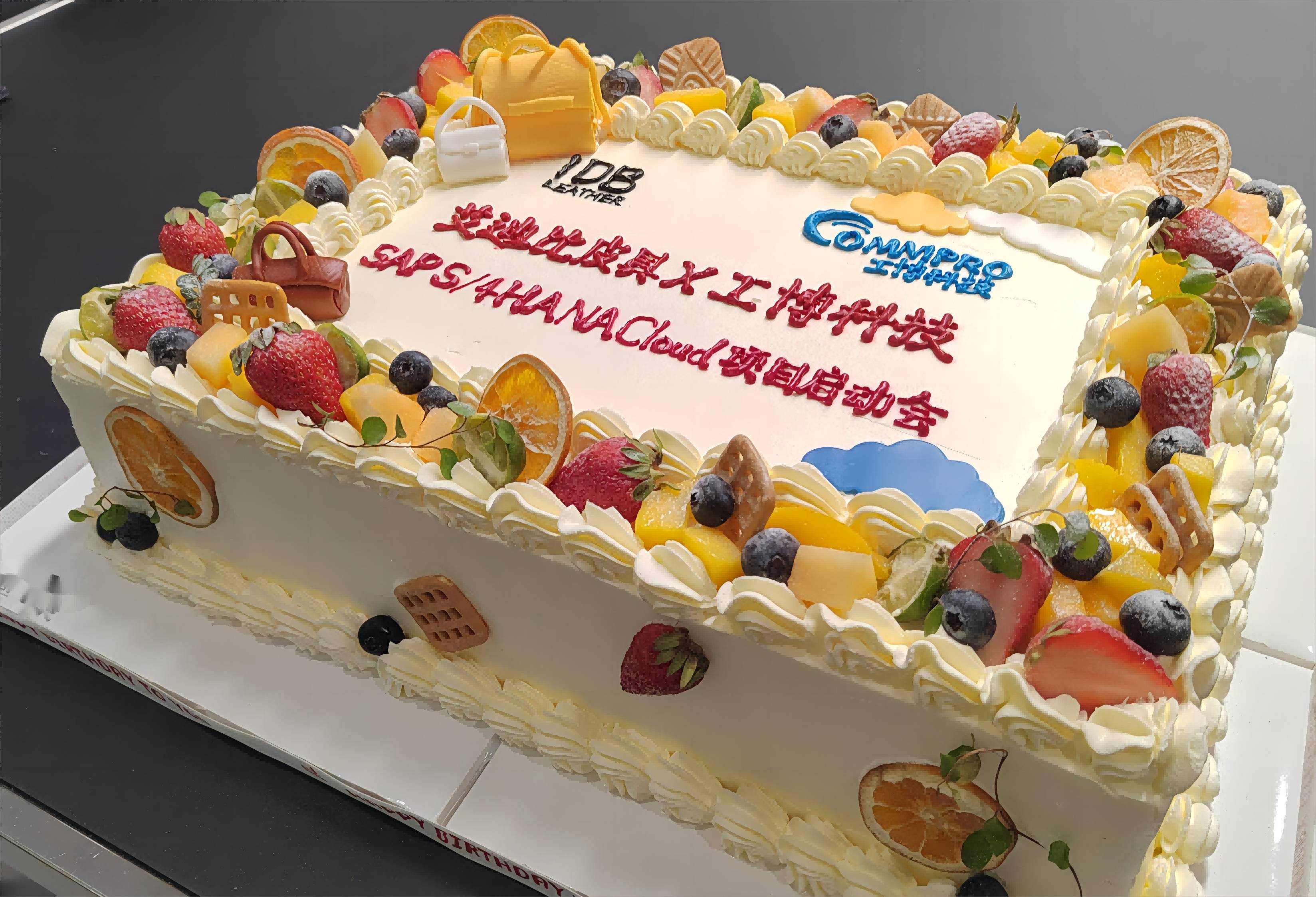 SAP ERP公有云項目